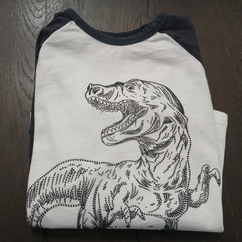 Zara Dinosaur Embelished Jersey Long Sleeved Top 100% Cotton Size:4-5